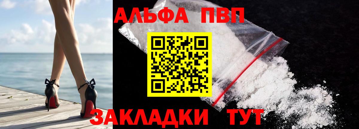 Alfa_PVP СК Асино