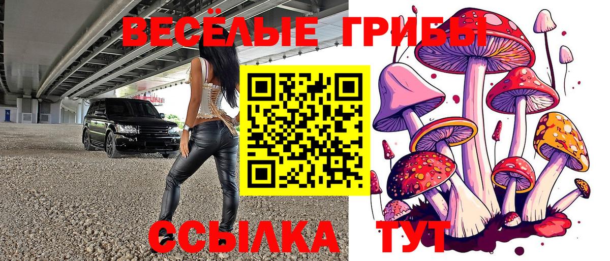 Галлюциногенные грибы Cubensis Асино