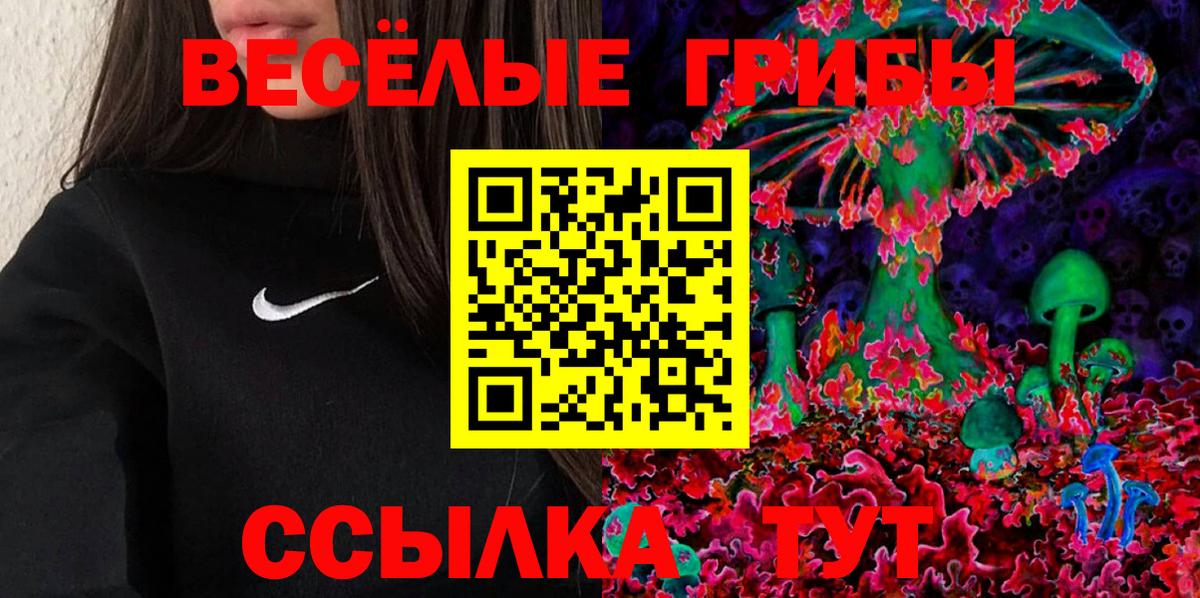 Асино  Псилоцибиновые грибы Psilocybine cubensis  Вход с VPN  Псилоцибиновые грибы Psilocybine cubensis 