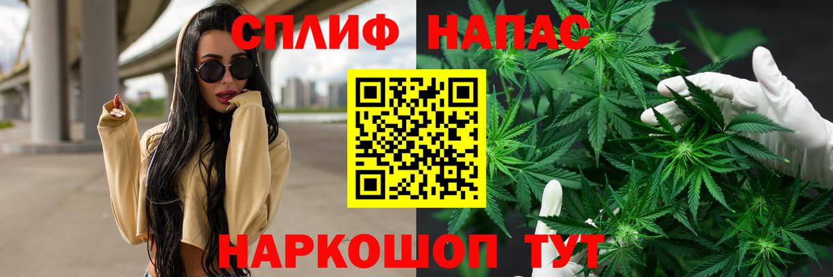 Асино  Канабис план  Бошки Шишки Amnesia  Каннабис гибрид  Вход с VPN 